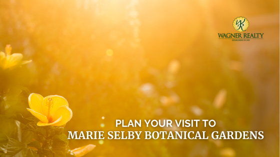 Marie Selby Gardens